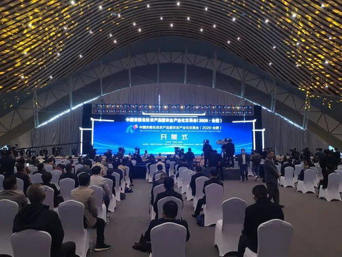 2020中國安徽名優(yōu)農(nóng)產(chǎn)品暨農(nóng)業(yè)產(chǎn)業(yè)化交易會(huì)合肥開幕 孫正東巡視阜陽展廳潁上展臺(tái)