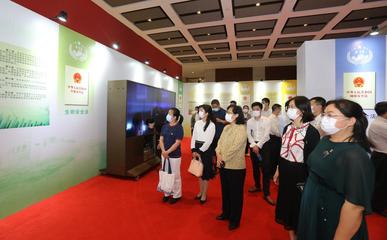 珠海舉辦為期一月的全民國家安全教育日主題展覽，影視策劃視角下的國家安全敘事